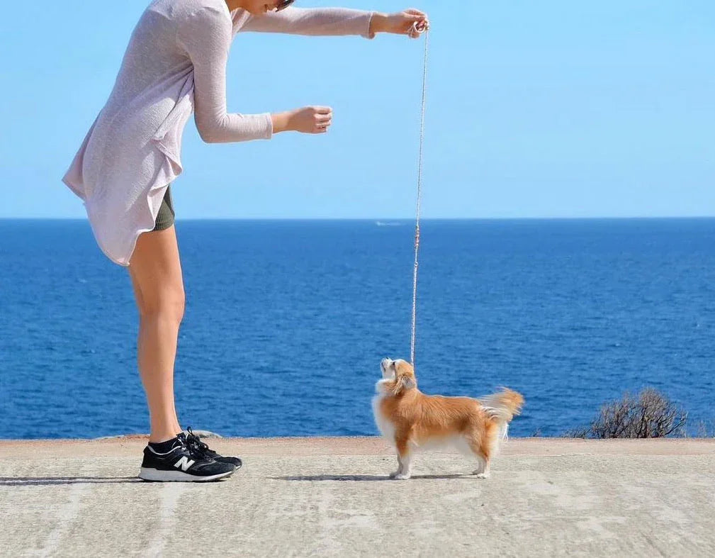 Femme en tenue décontractée tenant un petit chien en laisse artisanale sur fond de mer bleue en Provence