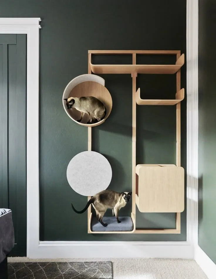 abre à chat mural en bois