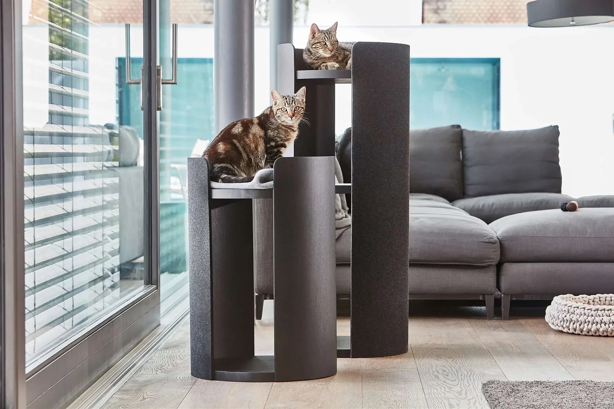 Deux chats reposent sur un arbre à chat design en bois foncé dans un salon lumineux, canapé gris à l’arrière-plan.