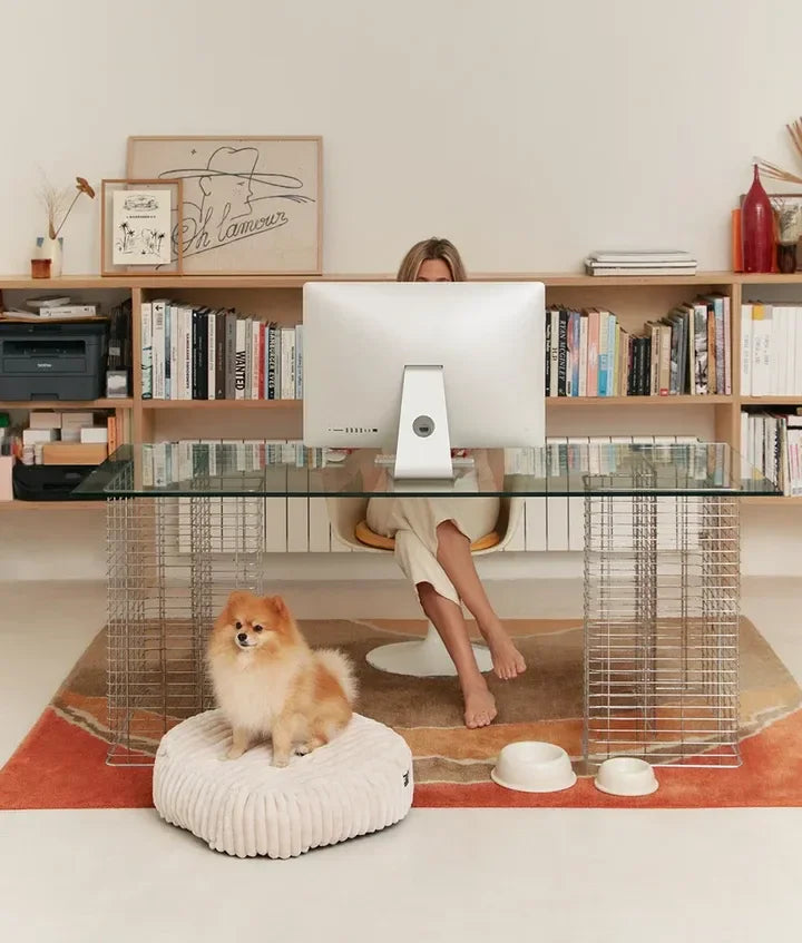 Petit chien sur coussin écru côtelé au pied d’un bureau en verre, intérieur moderne et chaleureux
