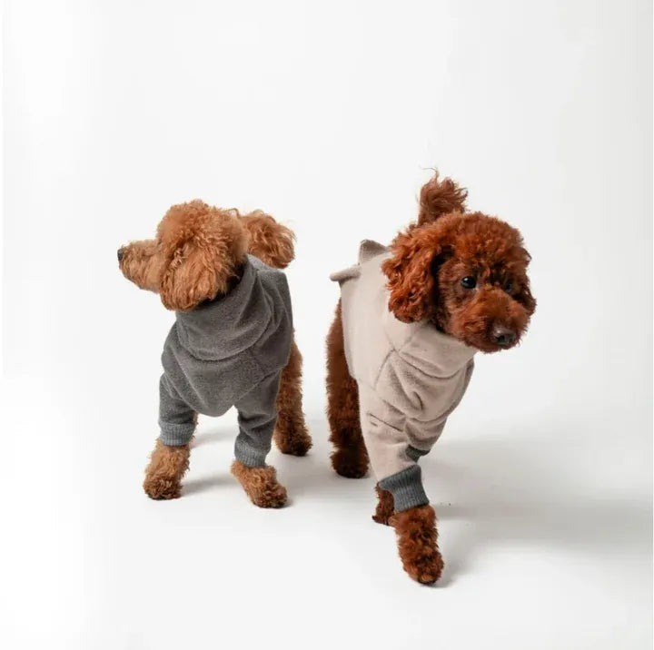 Vêtements pour chiot : Comment choisir des habits confortables et adaptés à leur croissance ?