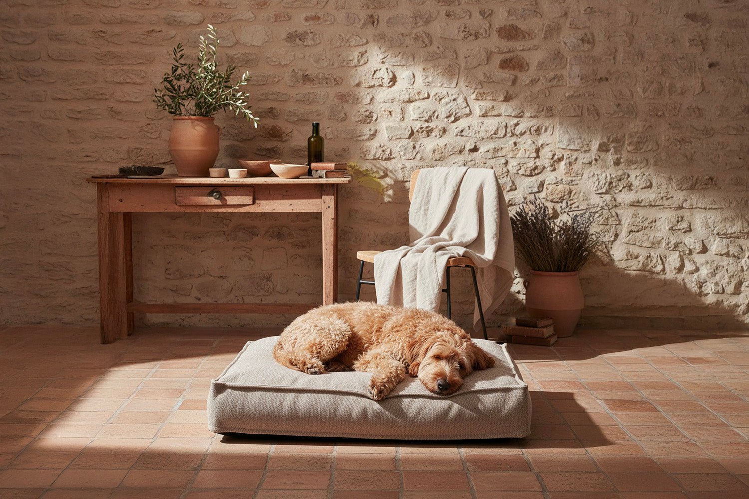 Chien couché sur un panier rectangulaire artisanal, en tissu naturel dans un intérieur en pierre de style provençal.