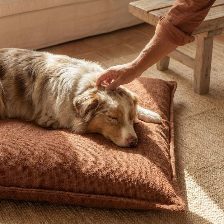 chien allongé sur coussin pour chien marron en tissu texturé pendant un moment de détente